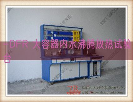 -DFR 大容器内水沸腾放热尝试台(图1)